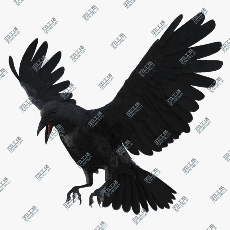 images/goods_img/20210113/3D Crow Rigged model/1.jpg